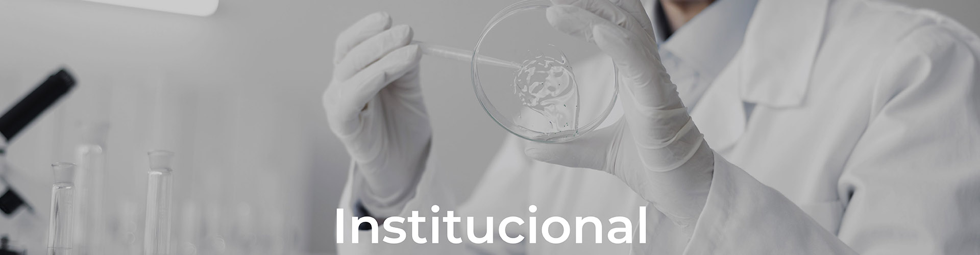 institucional