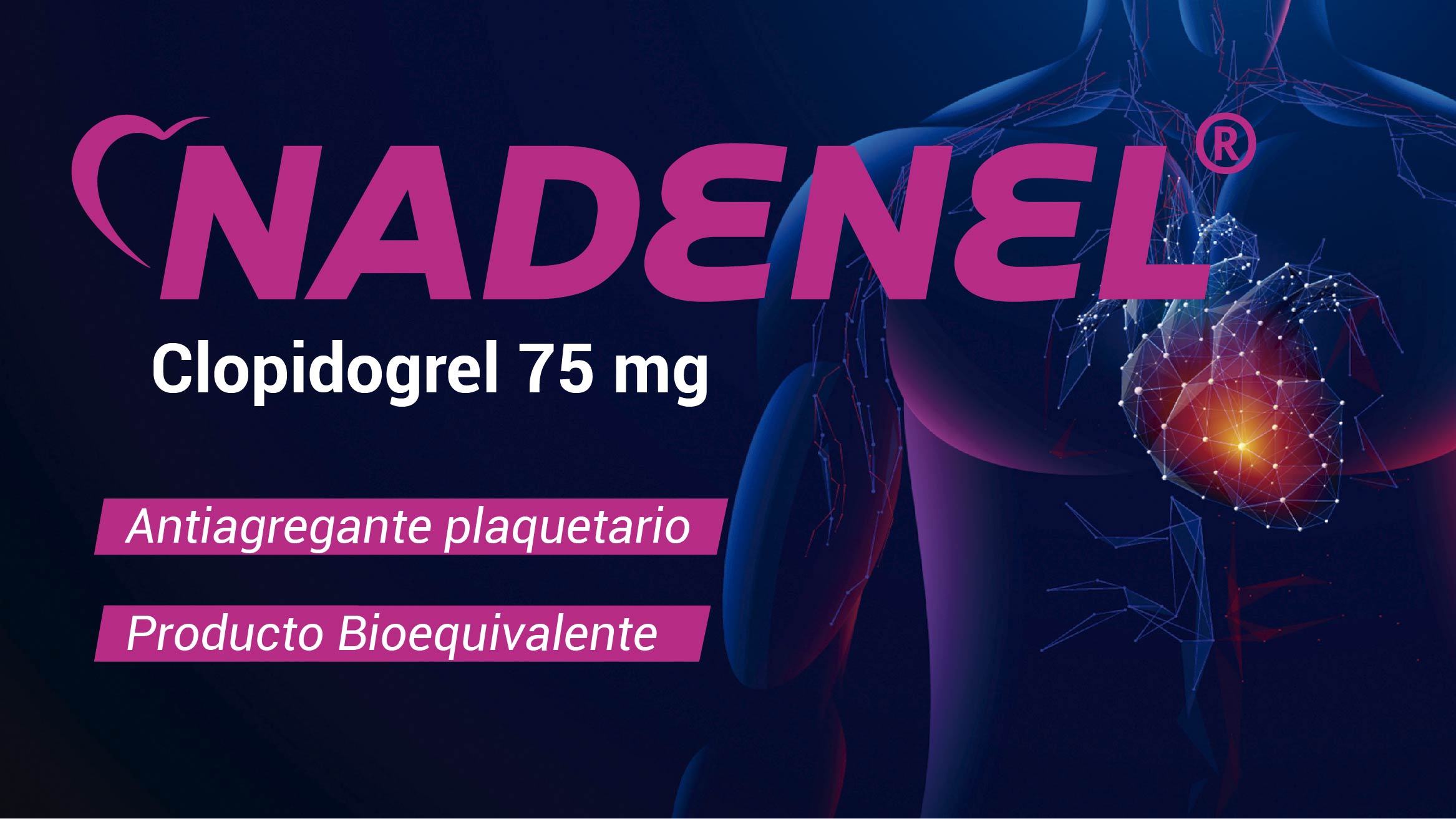 novedades nadanel-01
