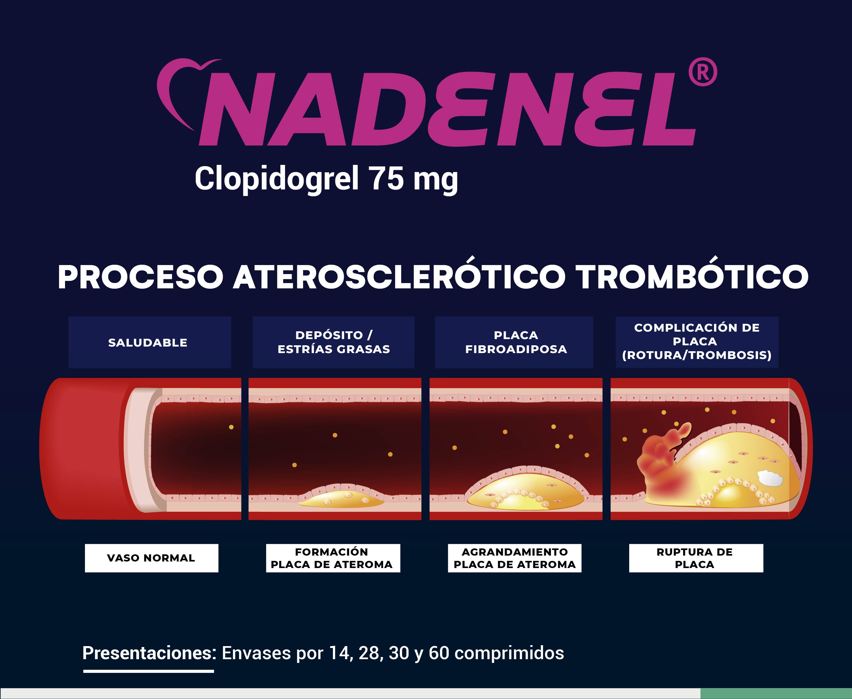 novedades began 12-02